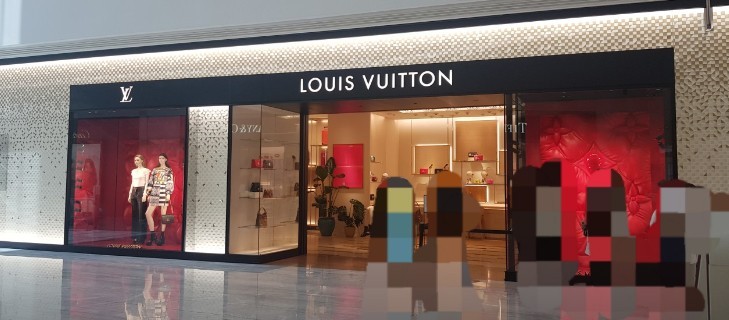 루이비통 [LOUIS VUITTON] 루이비통 오거나이져 티타늄 클러치백  (국내배송)